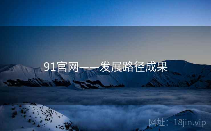 91官网——发展路径成果