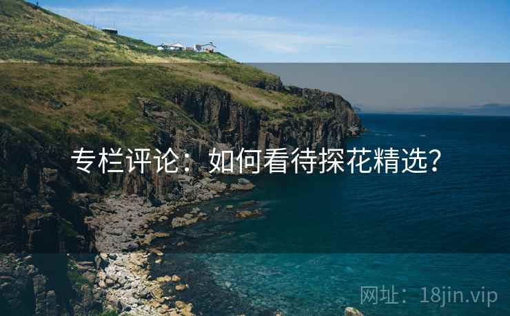 专栏评论：如何看待探花精选？