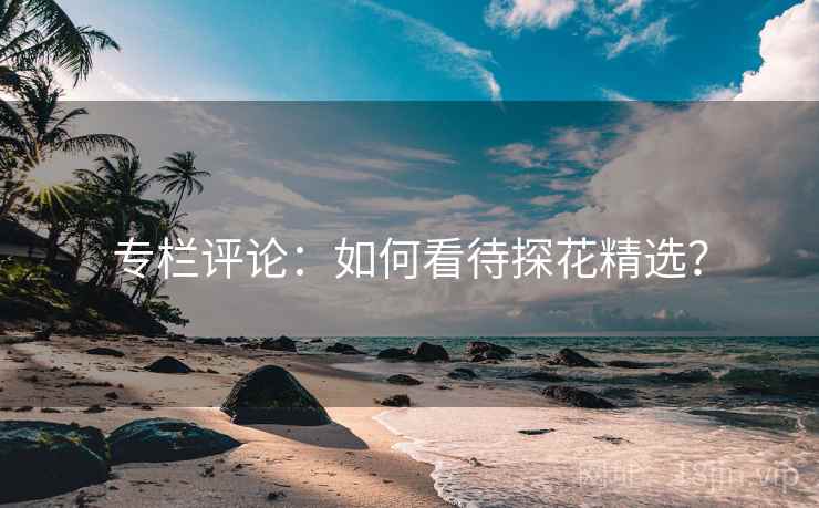 专栏评论：如何看待探花精选？