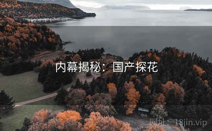 内幕揭秘：国产探花