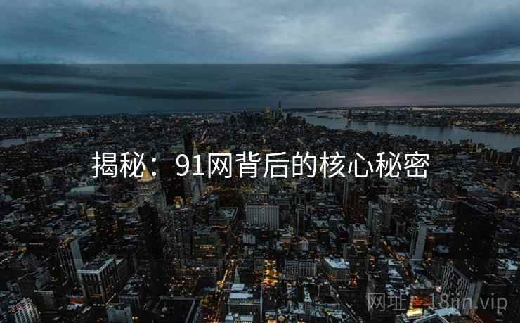 揭秘：91网背后的核心秘密