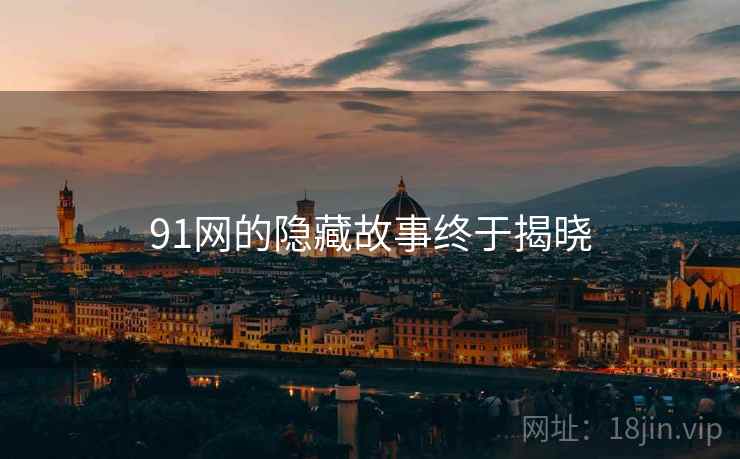 91网的隐藏故事终于揭晓