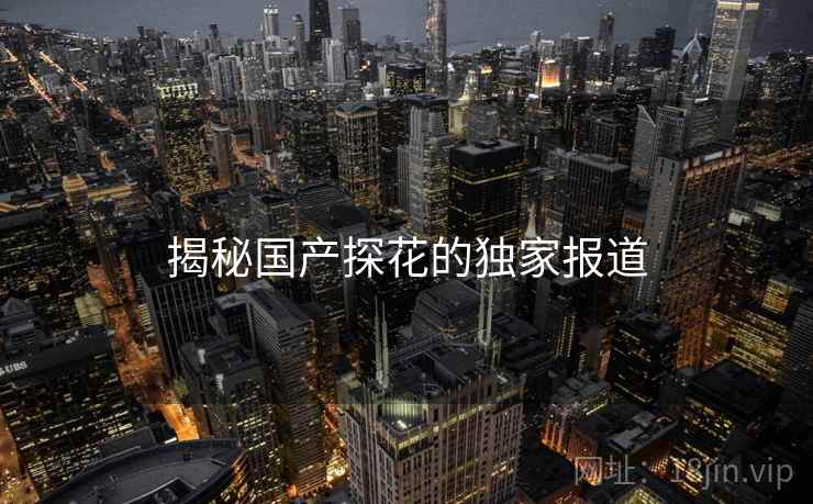 揭秘国产探花的独家报道