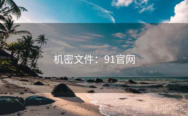 机密文件：91官网