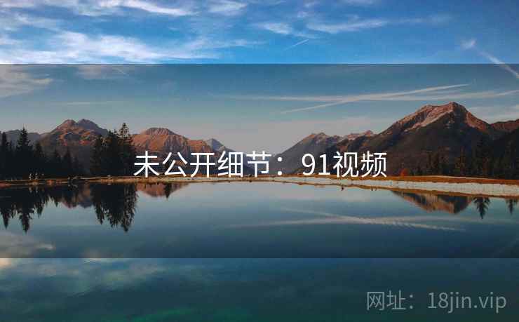 未公开细节：91视频