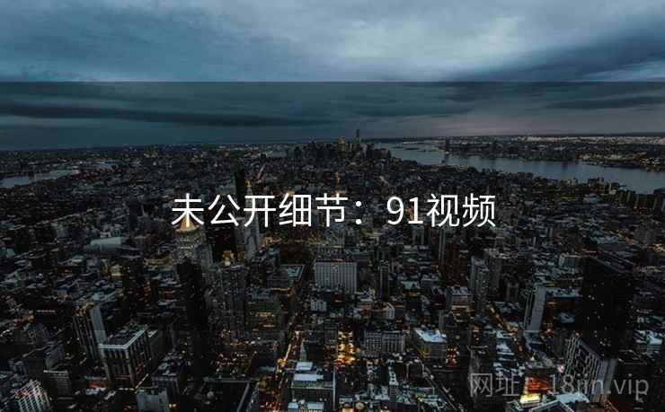未公开细节：91视频