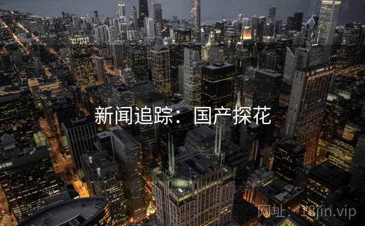 新闻追踪：国产探花