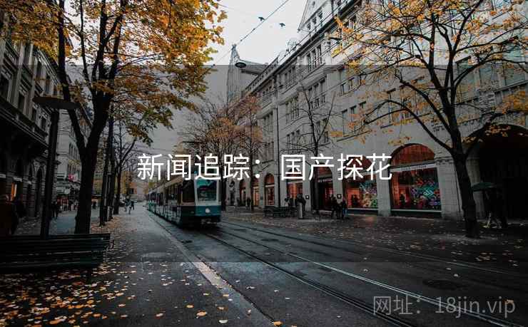 新闻追踪：国产探花
