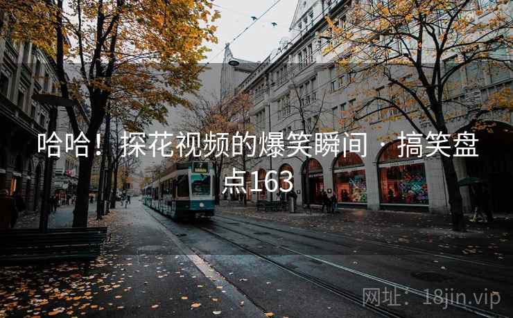哈哈！探花视频的爆笑瞬间 · 搞笑盘点163