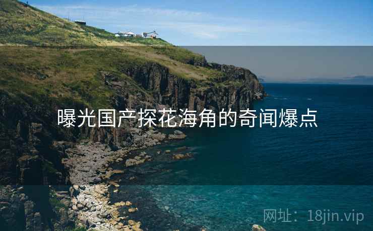 曝光国产探花海角的奇闻爆点