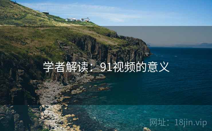 学者解读：91视频的意义