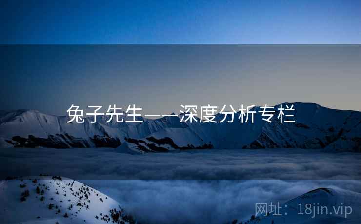 兔子先生——深度分析专栏
