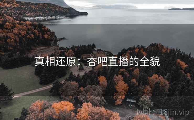 真相还原：杏吧直播的全貌