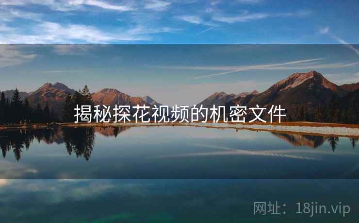 揭秘探花视频的机密文件