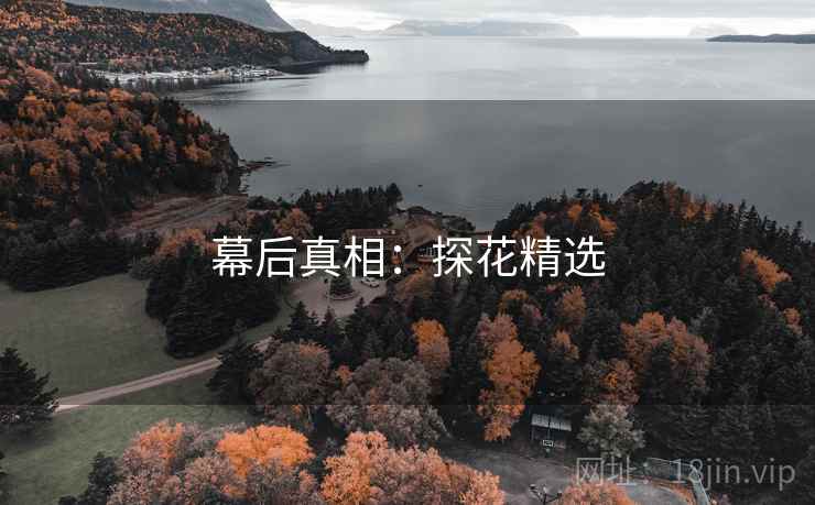 幕后真相：探花精选